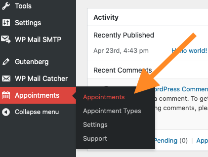 Accessing the Appointments Tab in the WordPress Dashboard