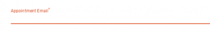Screen shot of the appointment email field