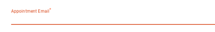 Screen shot of the appointment email field
