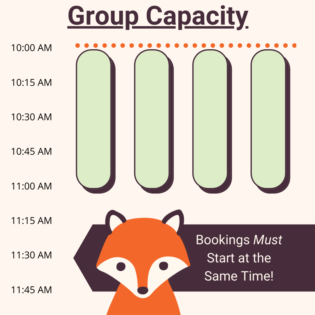 Infographic depicting Group Capacity where there are 4 overlapping appointments all at the same time.