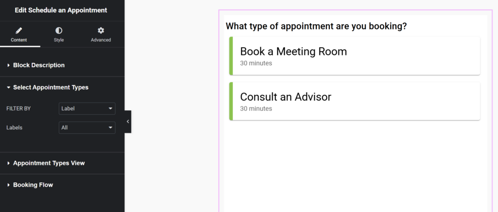 Schedule an Appointment Module embedded via Elementor, presenting several options for customizing to your liking.