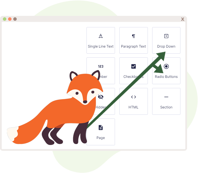 Foxy pointing at both the Drop down and Radio Buttons