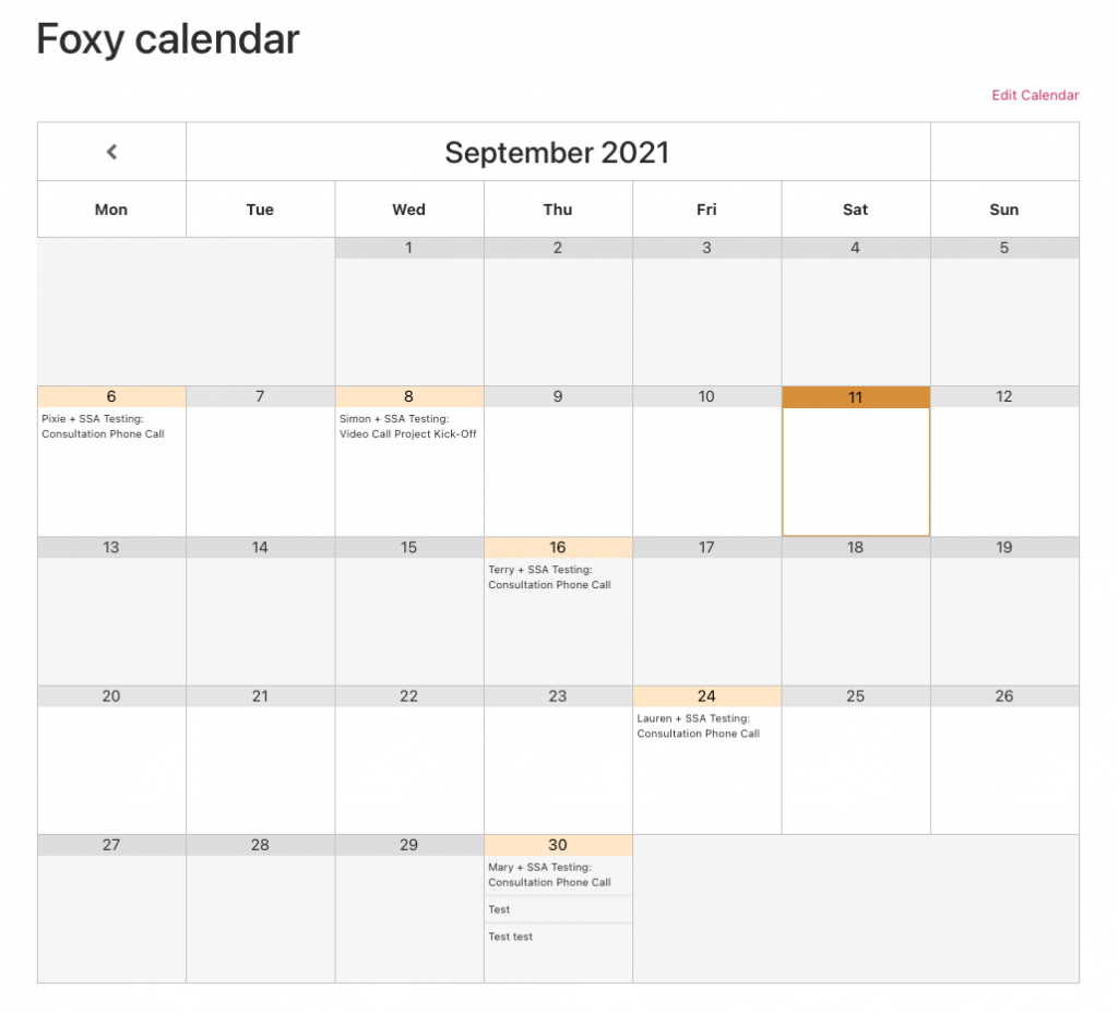 Screenshot depicting an overview of booked appointments in calendar form.