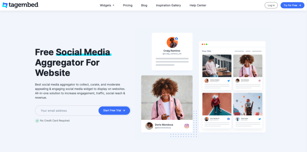 Screenshot of the tagembed homepage, bolded text that says "Free Social Media Aggregator for Website".