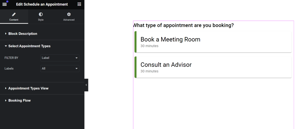 Schedule an Appointment Module embedded via Elementor, presenting several options for customizing to your liking.