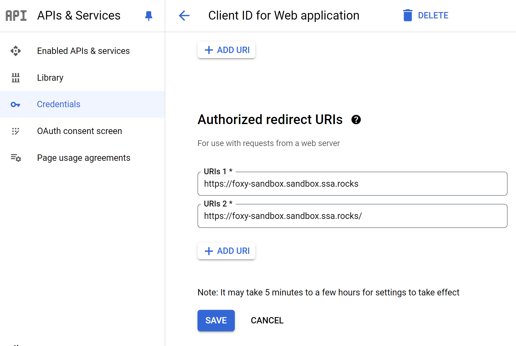 Authorized redirect URIs entered in.