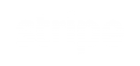 Stripe logo – white Stripe logo